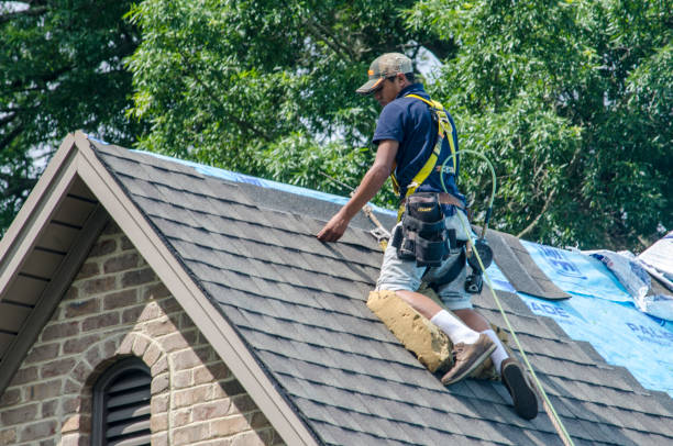 Professional Roofing Contractor in Beardstown, IL